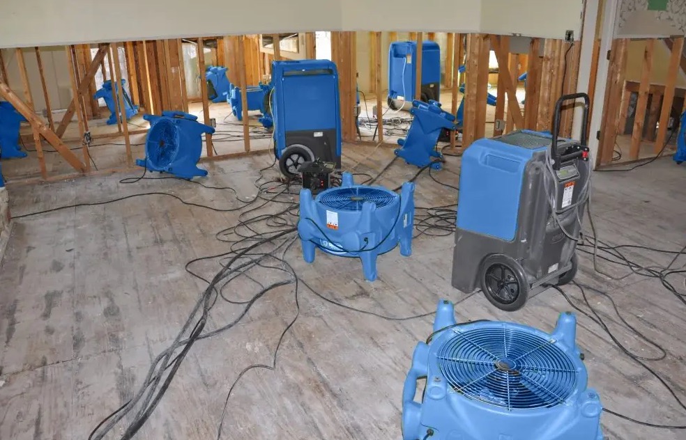 Water Damage Restoration in Kirkland, WA
