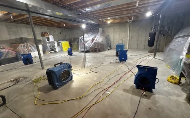 Basement Mold Cleanup in Kirkland, WA