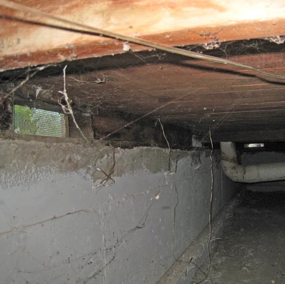 Crawlspace Water Damage Cleanup in Kirkland, WA