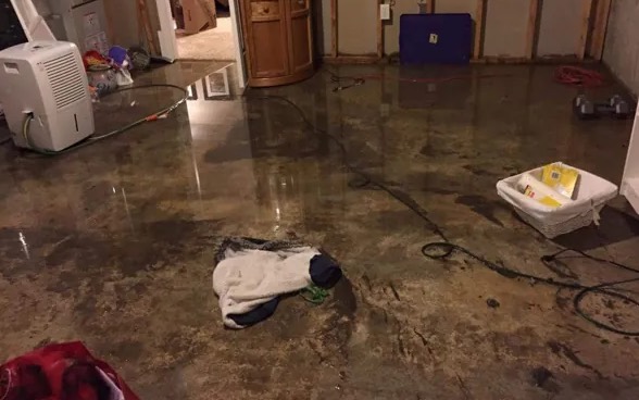Emergency Water Extraction in Kirkland, WA