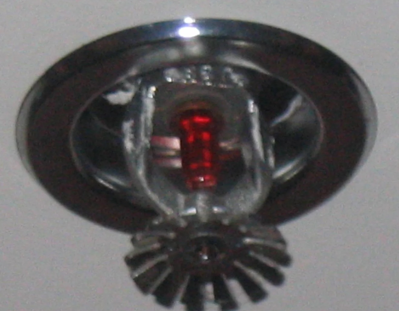 Fire Sprinkler Cleanup in Kirkland, WA