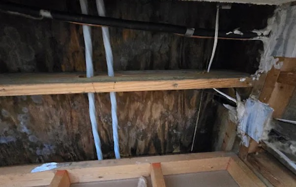 Window Replacement in Kirkland, WA