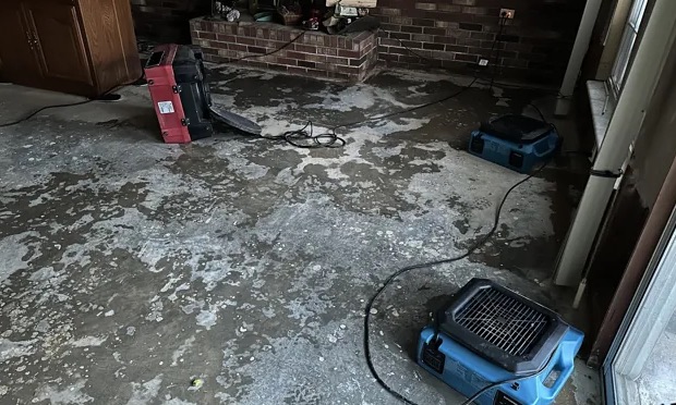 Emergency Storm Cleanup Services in Kirkland, WA