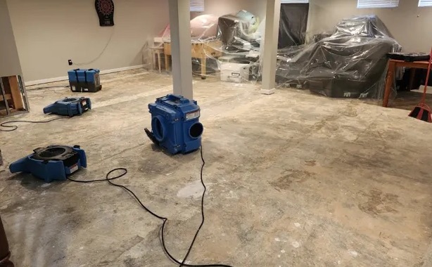 Deodorization Services in Kirkland, WA